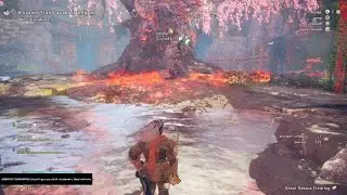 I miss wild hearts