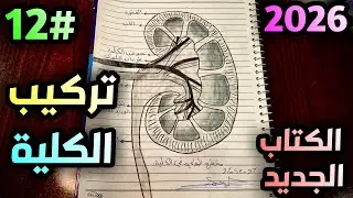 رسم الكلية للصف الثالث متوسط الفصل السابع صفحة 82 حسب 