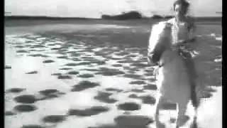 Trailer CRIN BLANC (F 1953) von Albert Lamorisse (OV)
