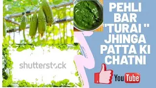 Ridged Ground leaves recipe:turai (jhinga) patta ki chatni green chatni easy and fast recipe 👍