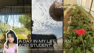 Day in my life as a final year Agri student🍅☘️🪴🪏| AELP student 👩&zwj;🌾