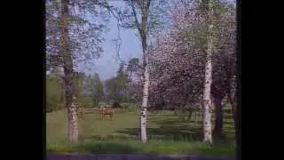 Worpswede - Das Künstlerdorf