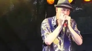 Abi Wallenstein & Blues  Culture, Blues in Lehrte, 03.09.2016