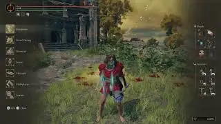 Elden ring ANY FREE ITEM GIVEAWAY ****PS5 ONLY****