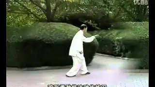 Animal forms, Bashi Quan, Za Shi Cui and An Shen Pao pair complex) by the master Sun Xu