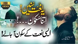 Beautiful Naat || Most Emotional Kalam || 2024 Edition || Hafiz Hafeez Ahmed || ARI Islamic