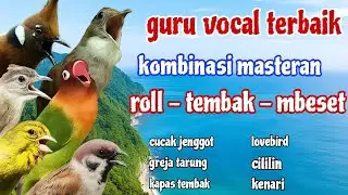 MASTERAN BURUNG ANDALAN // KOMBINASI TERBAIK 