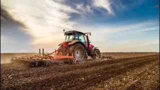 Farm work portugal daily routine #fypシ #portugal #funny #viral #vlog #animals #dairyfarm #farming 