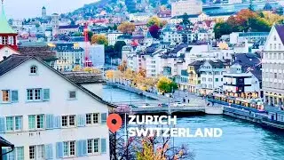 🇨🇭This view from Lindenhofpark to the Niederdorf old town is unique and breathtaking- City of Zurich