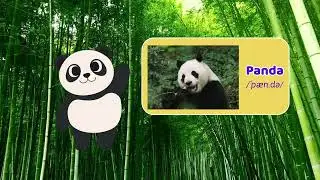 [Chapter 1] A Fun Jungle Adventure! | Learn Animal Names & Sounds 🐒🌴🦜