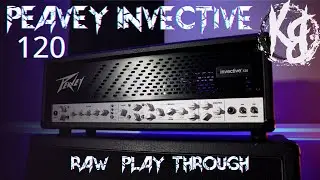 Peavey Invective 120 - The New Age 5150?