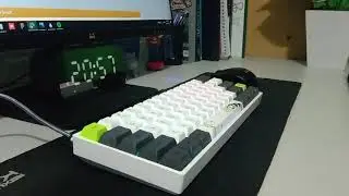 Vortexseries VX64 Lite Panda with Gateron Red Switch Typing Test