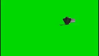 Snake green screen