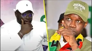 Confidence de taille de Cheikh Ousmane Tour&eacute; sur la dimension de Sonko 