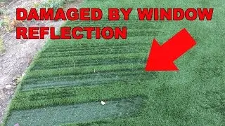 Low E Windows? BEWARE of Damaging WINDOW REFLECTION