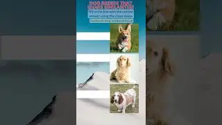 Match The Dog Breed | Dachshund, Corgi, Basset Hound