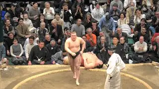 新大関、安青錦が優勝決定戦を制し連覇‼ 令和8年大相撲初場所千秋楽15日目 2026 January SUMO TOURNAMENT Final Day.