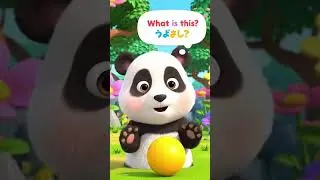 Cute Baby Panda Slides #kidslearning #cartoon #safeforkids #abc123 #kidsanimation #littlezookids