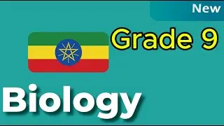 Grade 9 Biology Unit 2_Lesson 11: Kingdom Plantae