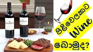 පිළිවෙලකට Wine බොමුද? | Why Use a Wine Aerator? Unlock the True Flavor of Your Wine!