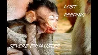 HI  All Dear Friend Don`t Watch Skinny Baby Charlee In Clip | Charlee Was Blocked By Mom On the Tree