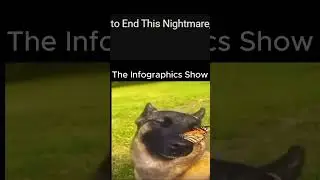 The Infographics Show