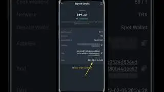 🚫 IPC FOREX Trading Bot Withdrawal Proof & Real or Fake Review