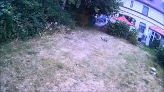 X-Quad 4s with my old HK-10A ESC&acute;s (Blheli)