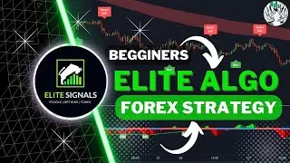 Easy Elite Algo Trading Strategy For Beginners (Forex Strategy)