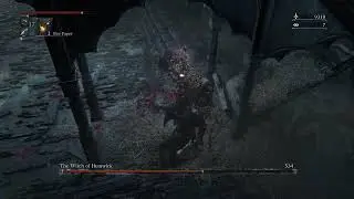 Bloodborne Witches of Hemwick were trash