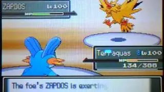 Pkmn Plat Wifi Battle #1: Vs. Bw5454