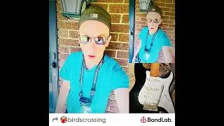 Birds crossing phone ringing 1/10/2026 Written by Michael prestein James 