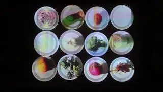 Water without cyanide is a human right! (Video Mapping)