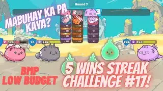 5 WINS STREAK CHALLENGE #17 | BMP LOW BUDGET