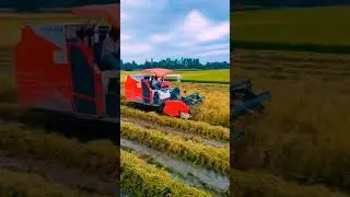 Kubota dc 99 G harvester reel video #subscribers #tractordasia #reels