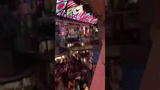 Msc merabiglia fiesta flower power