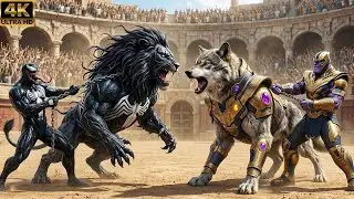 VENOM Lion Battles THANOS Wolf 🐺🔥 | Legendary Wild Beast Clash