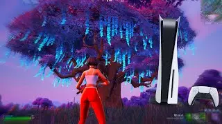 120FPS CONSOLE Arena Gameplay + BEST Expo *AIMBOT* Settings ✨ (4k 120FPS)