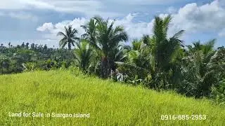 Land for Sale in General Luna Siargao Island Philippines 🇵🇭