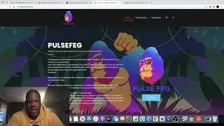 PULSE FEG MINER APES TOKEN TO THE MOON???