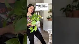 Easy way to make your plants fuller