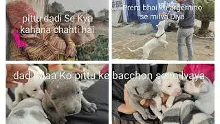 पिट्टू दादी मां से कुछ कहना चाहती है🥰 दादी मां को पिट्टू  के बच्चों से मिलवाया🥰#subscribe  #chnnel 