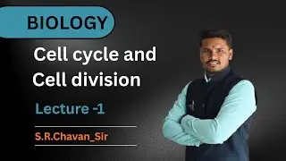 Cell cycle and Cell division l class 11 l NEET l #biology #neet #mitosis 