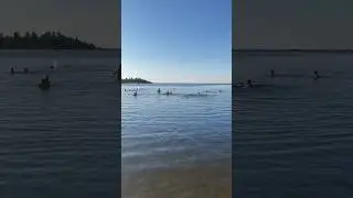 🇫🇮 пляж 🏝️ в Раахе 22.7.24 28&deg; вода 14&deg; #raahevisit #brahe Ботнический залив