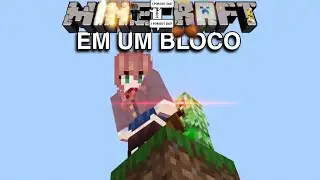 MINECRAFT num bloco s&oacute;...