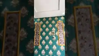 3Marla Double Story House For Sale In Ghazi Road Lahore | Reasonable Price House #house#houseforsale
