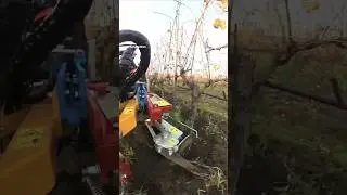 inRow Cultivator FUTURA SPECIAL For Orchards & Vineyards || Made By Arrizza SRL Italy || #weeding