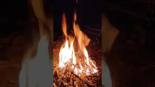 #shorts #withnature #Bonefire#winter