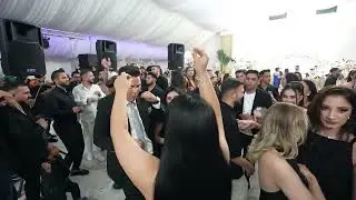 Alex Botea – Bani Ca La Bancorex Elveția - HITUL CARE FACE MILIOANE💰  2025