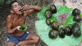 Primitive Society [  Snails And Weaver ant​ ]​